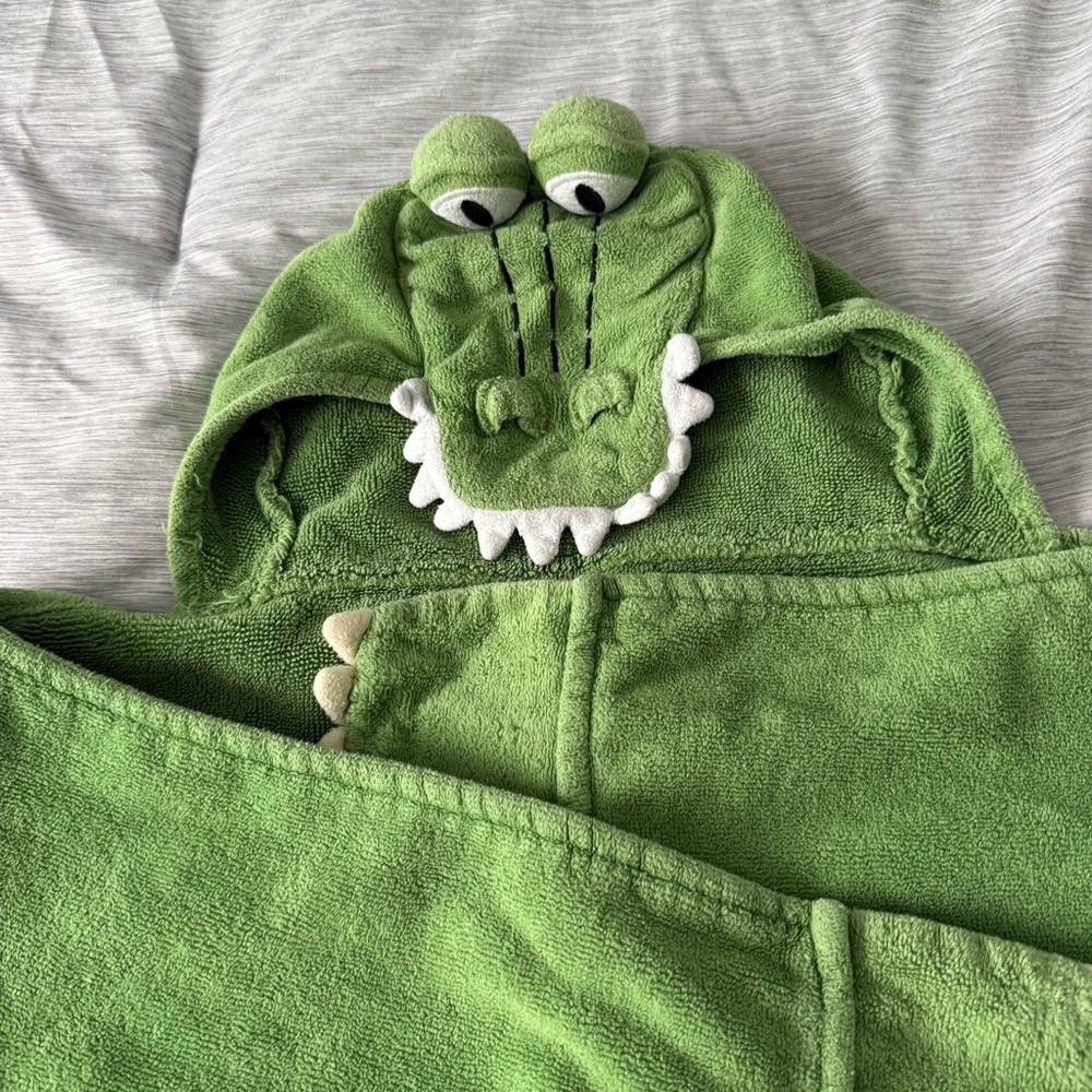 Pottery Barn Kids Green Hooded Towel - Picture 2 of 4